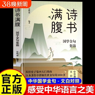 诗书满腹国学金句集锦当白话文遇见古诗文古译高情商话术的语言充满文化底蕴告别词穷学会的提升之道正版书籍经典有诗诗词清雅表达