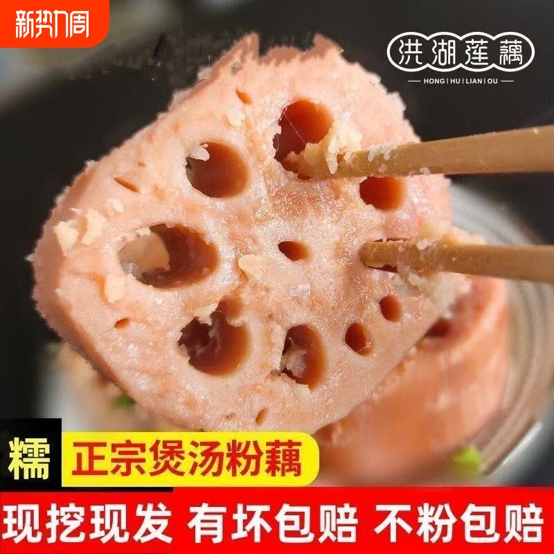 沔城藕 湖北正宗洪湖粉藕新鲜煲汤粉藕粉糯米藕现挖现发火锅食材