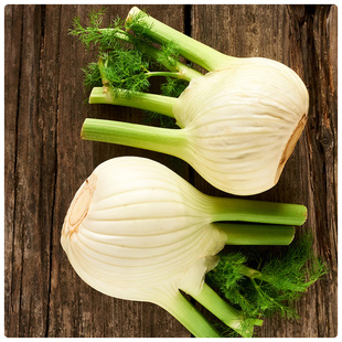 鲜球茎大茴香茴香头1-5斤 新鲜茴香根茴香球茎 西餐料理香料食材