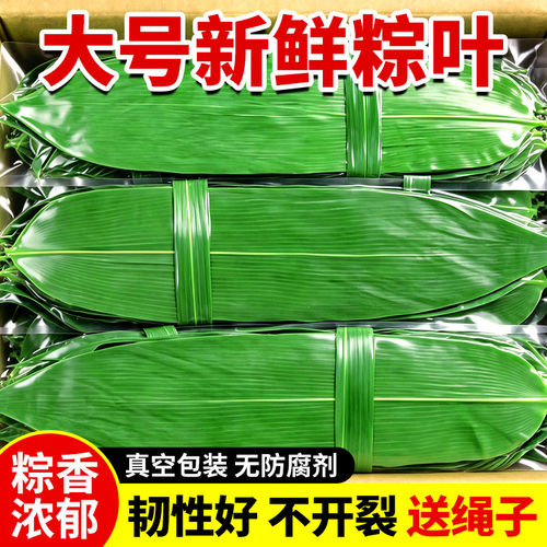 粽子叶大号粽叶包粽子送绳子端午