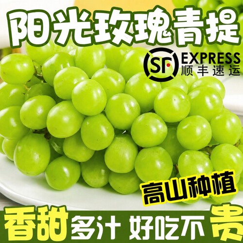 阳光玫瑰葡萄新鲜水果5斤葡萄