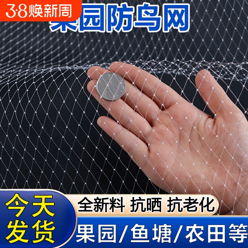 尼龙防鸟网嘉宝果树果园大棚用网罩樱桃葡萄鱼塘养殖阳台防鸟神器