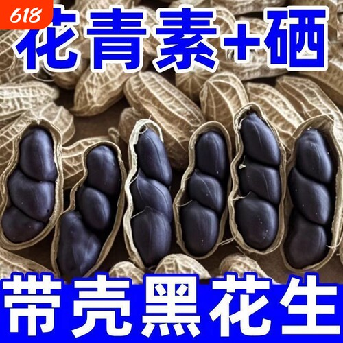 富硒黑花生正品带壳生黑花生