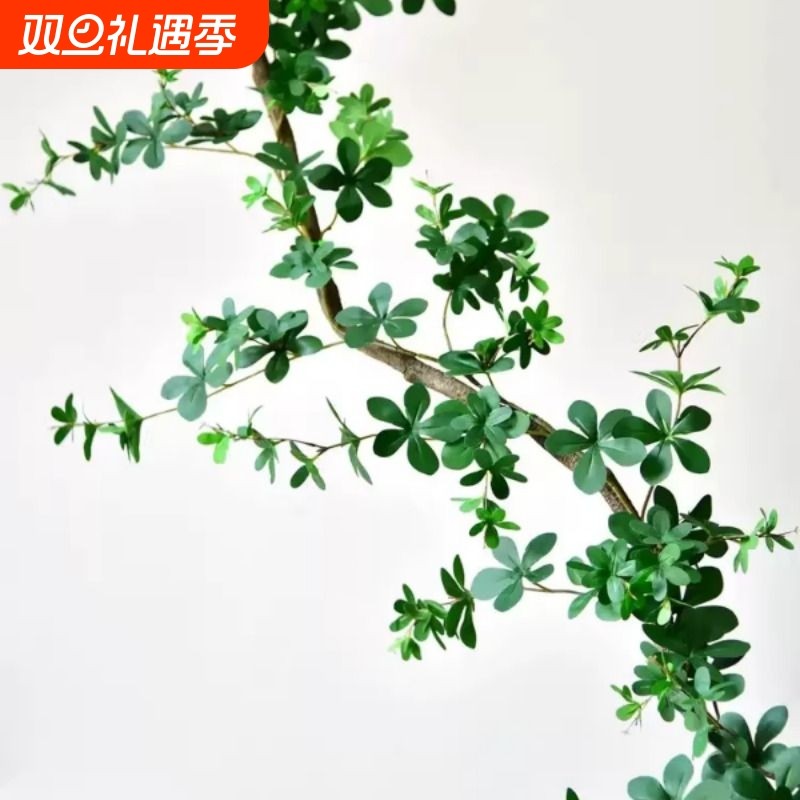 仿真招财树叶藤条绿植假花藤空调管装饰遮挡吊顶塑料藤蔓植物绿叶