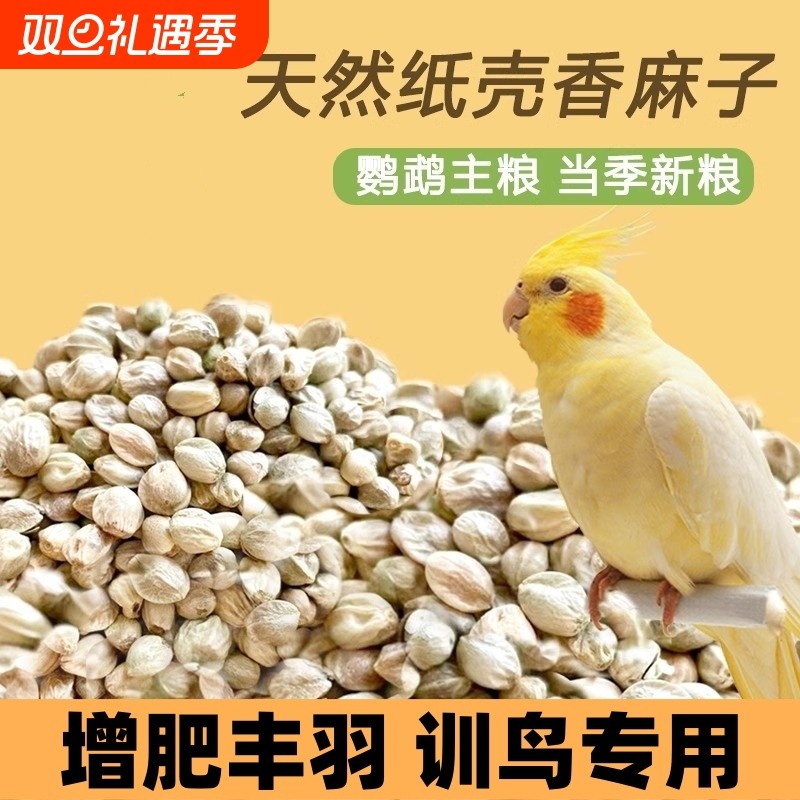 麻子鸟粮 纸壳麻子大粒牡丹鹦鹉粮奖励零食油纸皮火麻籽鸽粮鸟食