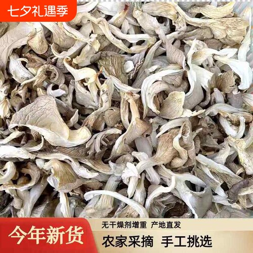 新货平菇干货干蘑菇食用干平菇商用批发非凤尾菇菌菇类干货煲汤材