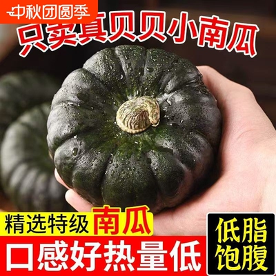 正宗贝贝南瓜新鲜农家自种婴儿辅食现摘板栗味老南瓜小南瓜包邮