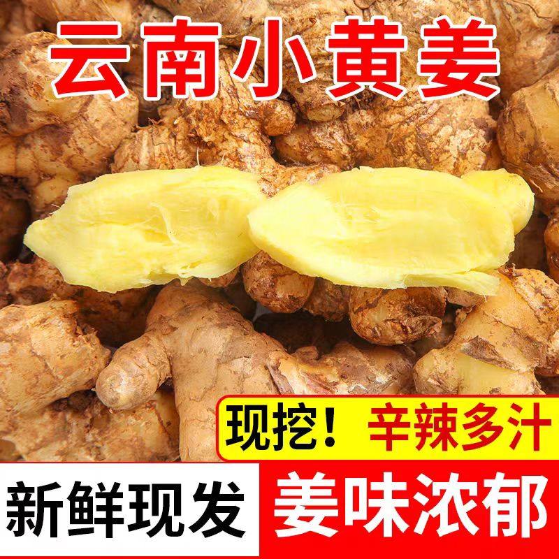 云南正宗小黄姜高山新鲜生姜现挖土姜蔬菜农家2025姜味浓郁