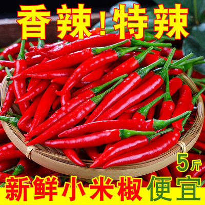 正宗小米辣椒新鲜朝天椒泡椒指天椒特辣薄皮红辣椒小米椒