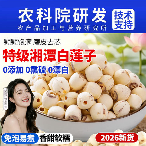 特级湖南湘潭白莲子磨皮去芯