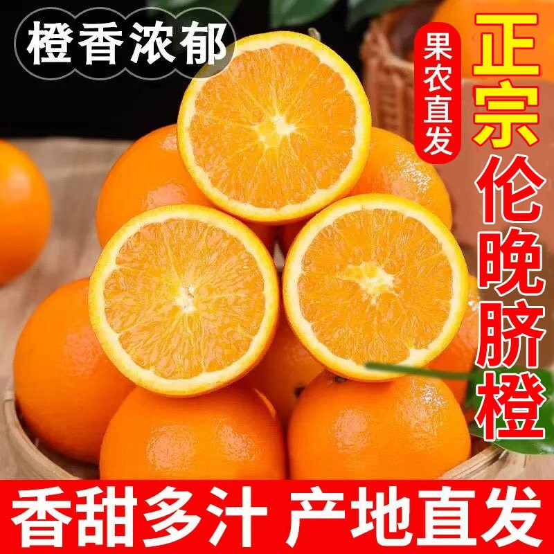 正宗伦晚脐橙新鲜橙子秭归脐橙当季水果手剥冰糖甜橙大果整箱包邮