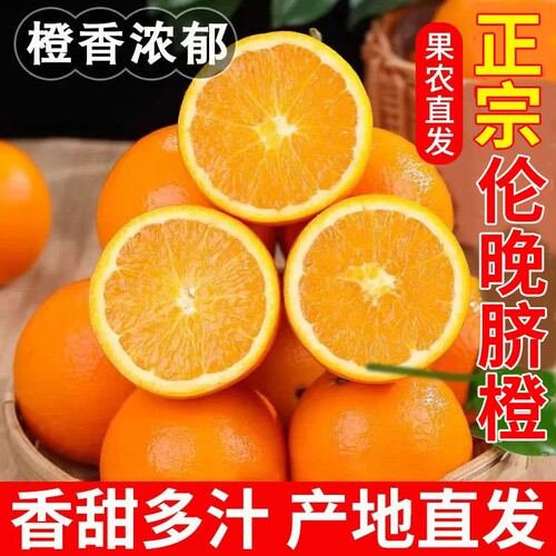 正宗伦晚脐橙新鲜橙子秭归脐橙当季水果手剥冰糖甜橙大果整箱包邮