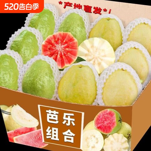 香软芭乐红白双拼红心草莓白心奶油大番石榴广西福建低糖水果包邮