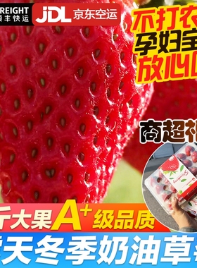 露天大凉山草莓新鲜奶油冬草莓顺丰烘焙商用应季孕妇水果空运盒装