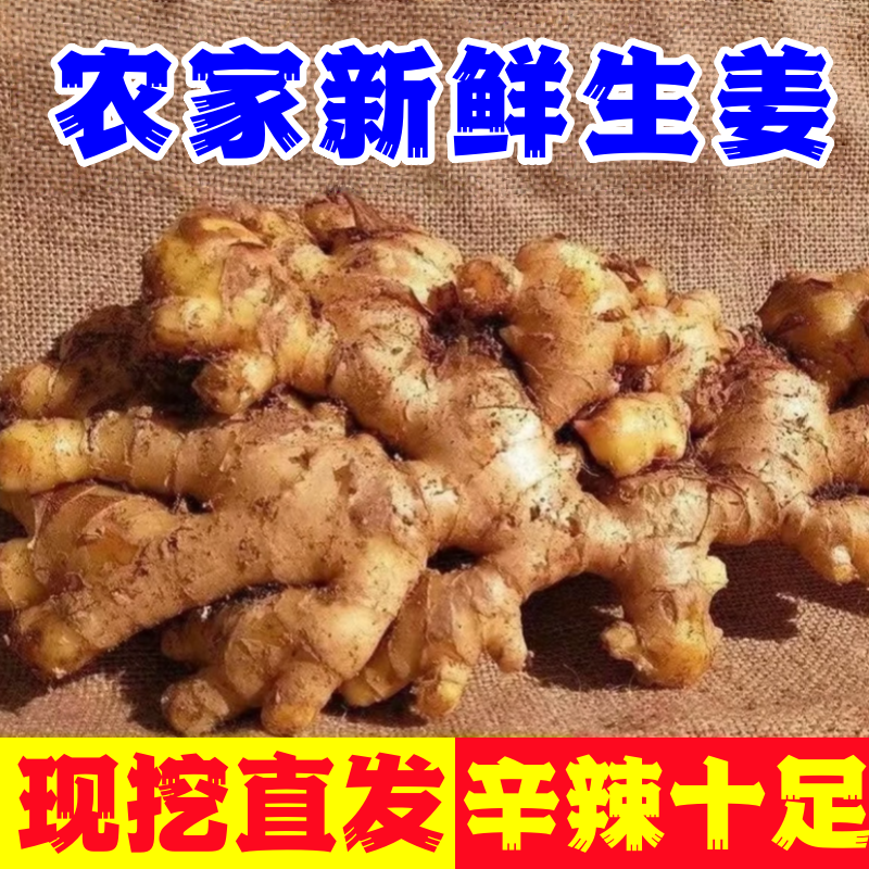 【整箱5斤】正宗农家小黄姜现挖生姜新姜月子姜农家高山种植辛辣