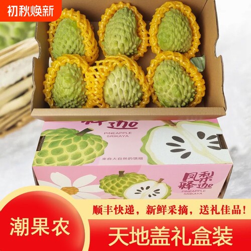 牛奶凤梨释迦果佛头果大果番荔枝包装盒礼盒通用新鲜热带水果现货