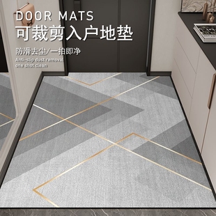 入户门地垫玄关免洗2025新款 门口脚垫地毯门垫进门垫可裁剪浴室