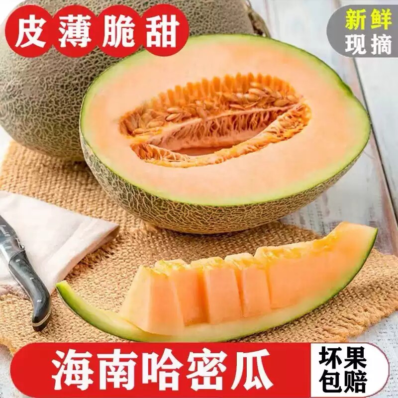 海南哈密瓜大果哈蜜瓜孕妇水果新货多汁脆甜包邮整箱现发新鲜优质