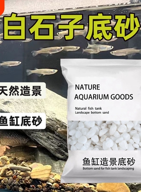 白色石子鱼缸造景底砂白石子鹅卵石雨花石养鱼养龟鱼缸铺底底砂