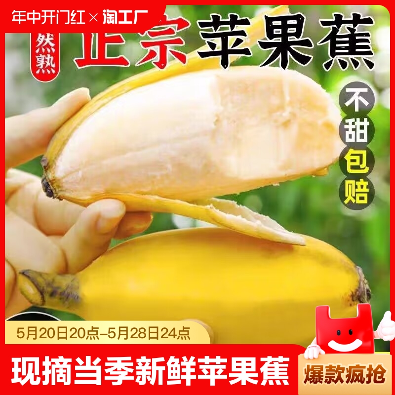 现摘海南苹果蕉当季新鲜水果9斤整箱自然熟banana小米蕉香蕉粉蕉 水产肉类/新鲜蔬果/熟食 香蕉 原图主图