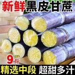 广西黑皮甘蔗中段新鲜水果应季脆甜多汁甜杆蔗特产整箱带箱5/9斤