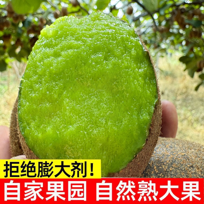 陕西周至徐香猕猴桃水果新鲜当季整箱绿心弥猴桃正宗奇异果应斤