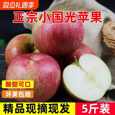 戈益鲜小国光酸甜可口苹果
