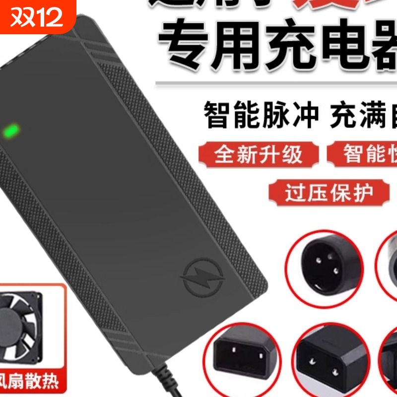 适用于爱玛电动车专用48V2A锂电池充电器卡农头小麦头两竖头插头