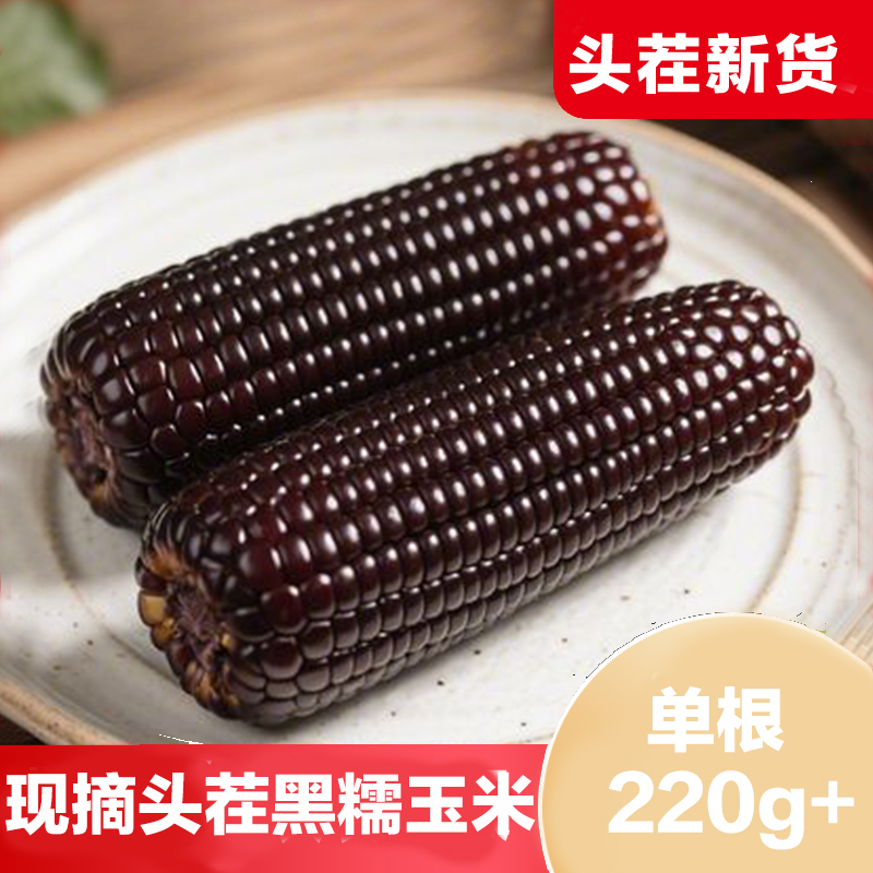 新鲜黑糯玉米现摘当季黑甜糯玉米嫩玉米紫糯玉米真空包装