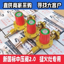 新国标不可调节高压阀商用防爆液化气罐煤气罐猛火灶自动减压阀