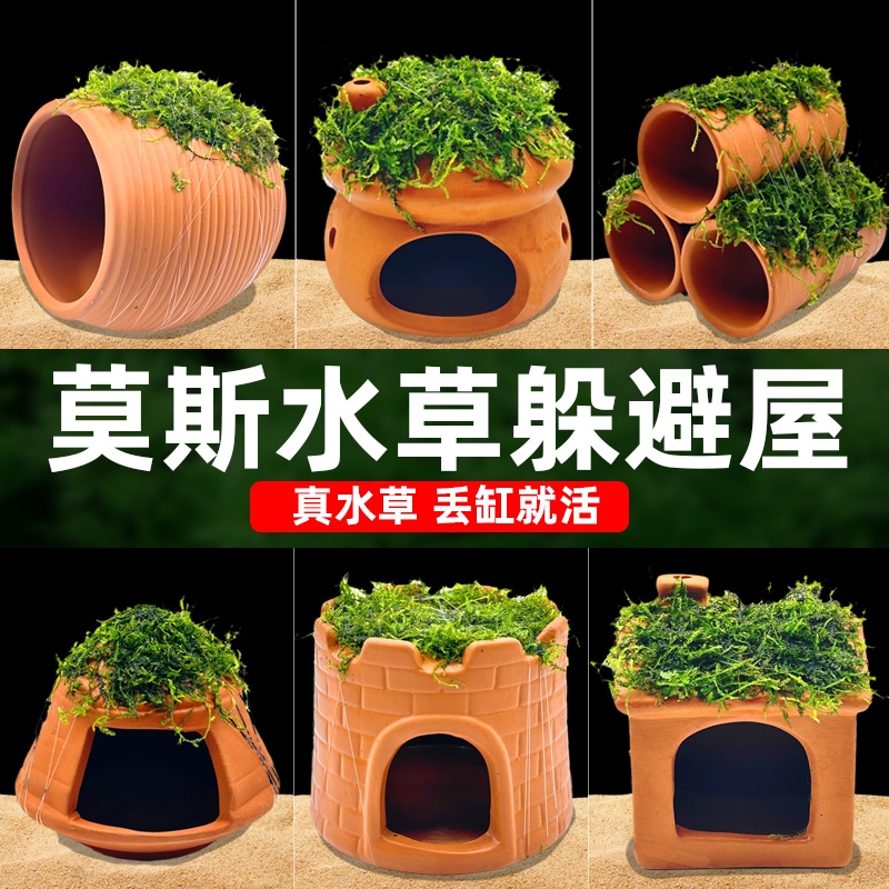 水屿鱼鱼缸水草造景莫斯水草懒人真植物躲避罐虾屋摆件小鱼躲避屋