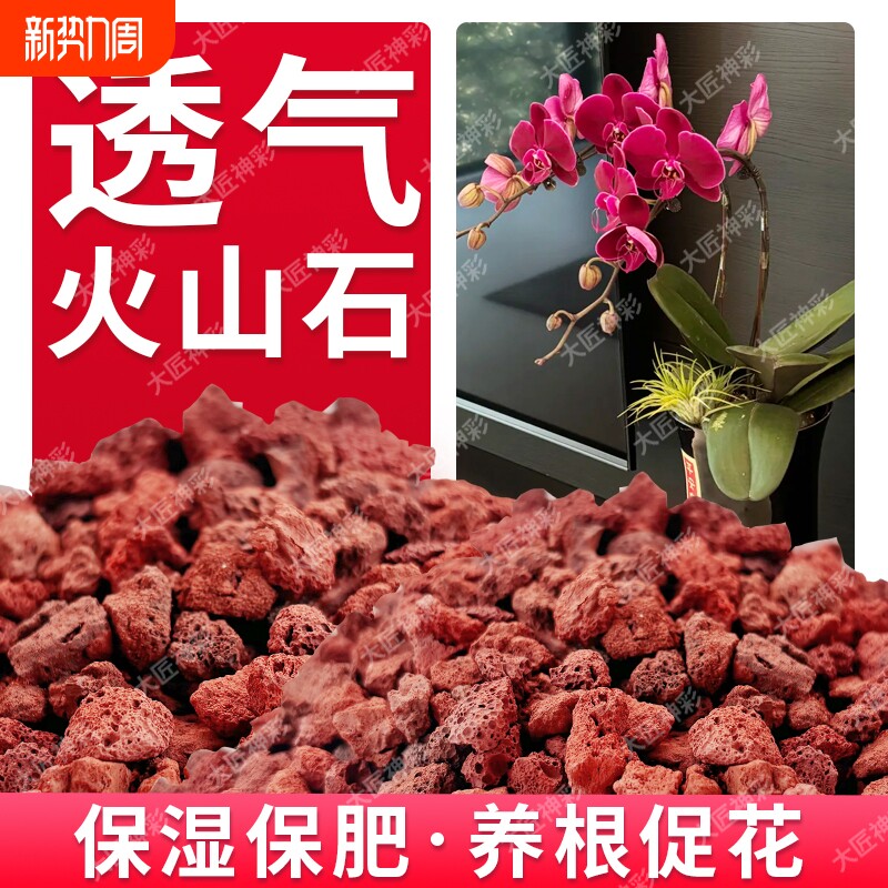 火山石养花蝴蝶兰花专用小颗粒多肉铺面石子鱼缸造景底部砂石苔藓