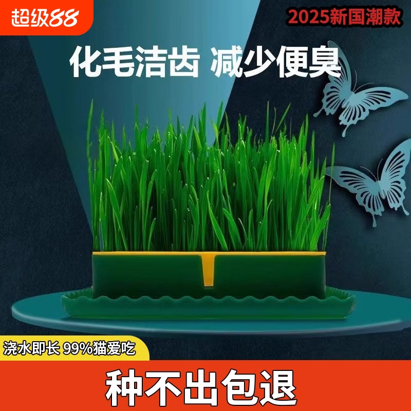 猫草罐头小麦种子育苗盘猫咪薄荷化毛草种懒人盆栽水培零食种植