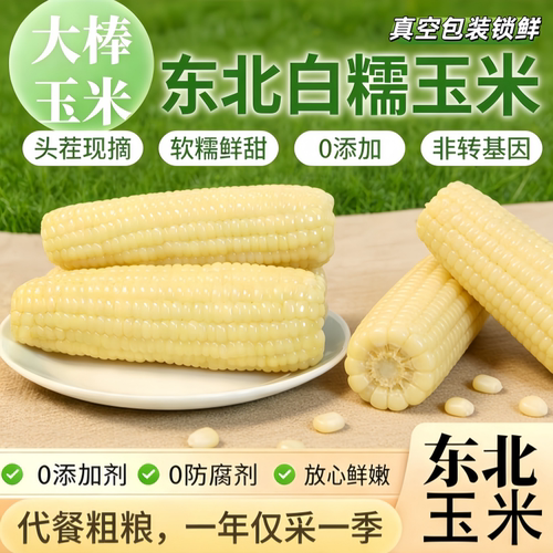 东北香糯白玉米真空即食甜新鲜糯玉米早餐代餐甜糯粘玉米农科粗粮