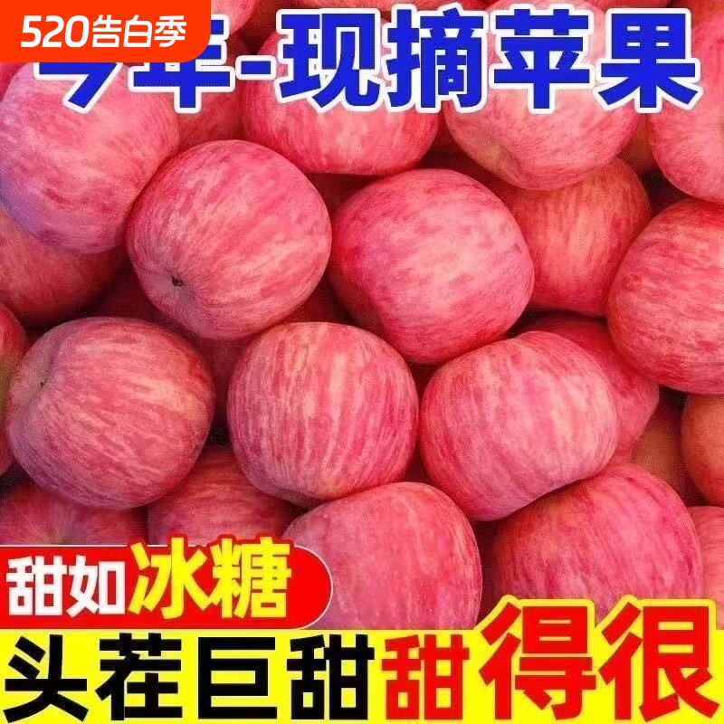 冰糖心新鲜红富士苹果丑苹果现摘苹果水果批发脆甜不打蜡大果