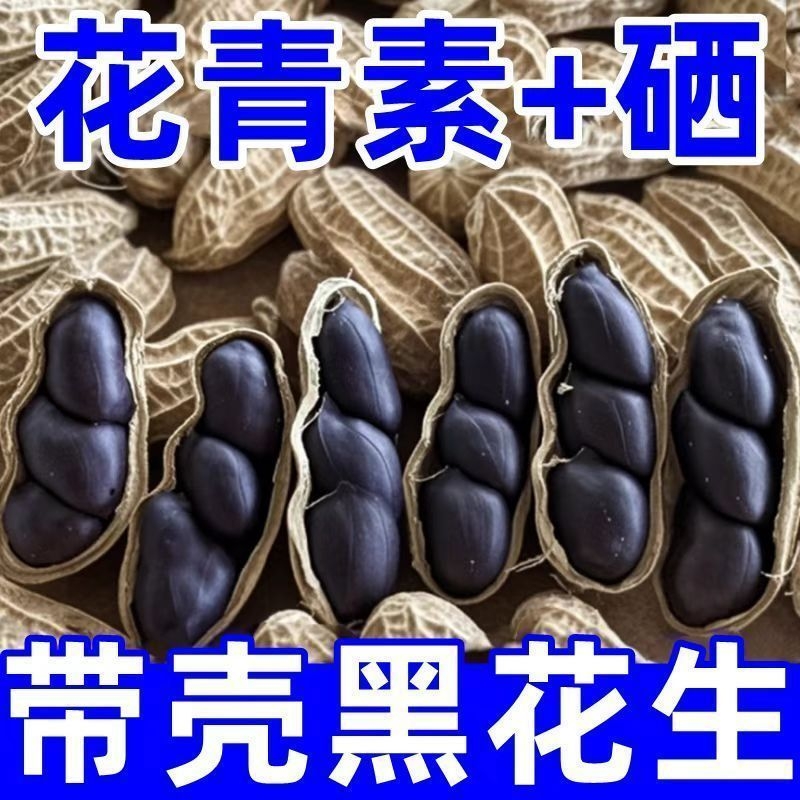 富硒黑花生正品带壳生黑花生