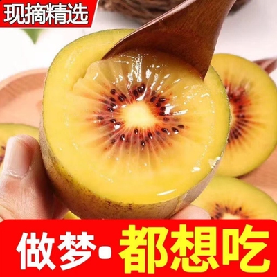 产地直发四川红心猕猴桃奇异果时令新鲜当季孕妇甜水果整箱包邮