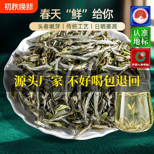 福鼎白茶2024头采头春特级白牡丹王高山新茶叶500g花香送礼散装