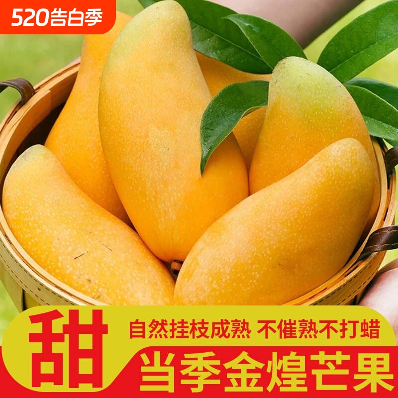 正宗金煌芒应季新鲜水果爆甜大芒果薄皮金煌芒整箱3斤5斤9斤