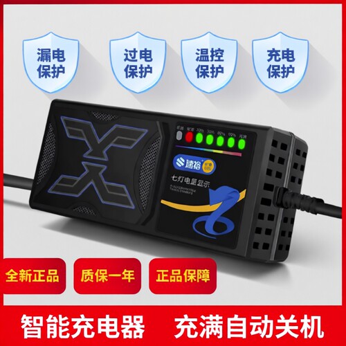 【次日达】全网热销电动车充电器
