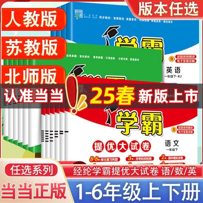 2024春小学霸提优大试卷一