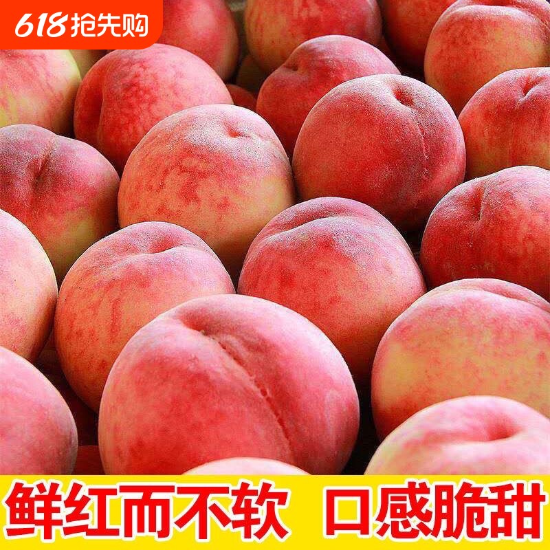 水蜜桃新鲜桃子水果毛桃香软当季现摘现发脆甜多汁孕妇儿童整箱