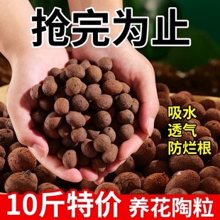 陶粒垫底养花专用多肉营养土花盆花卉回填鱼缸水培铺面石陶粒颗粒