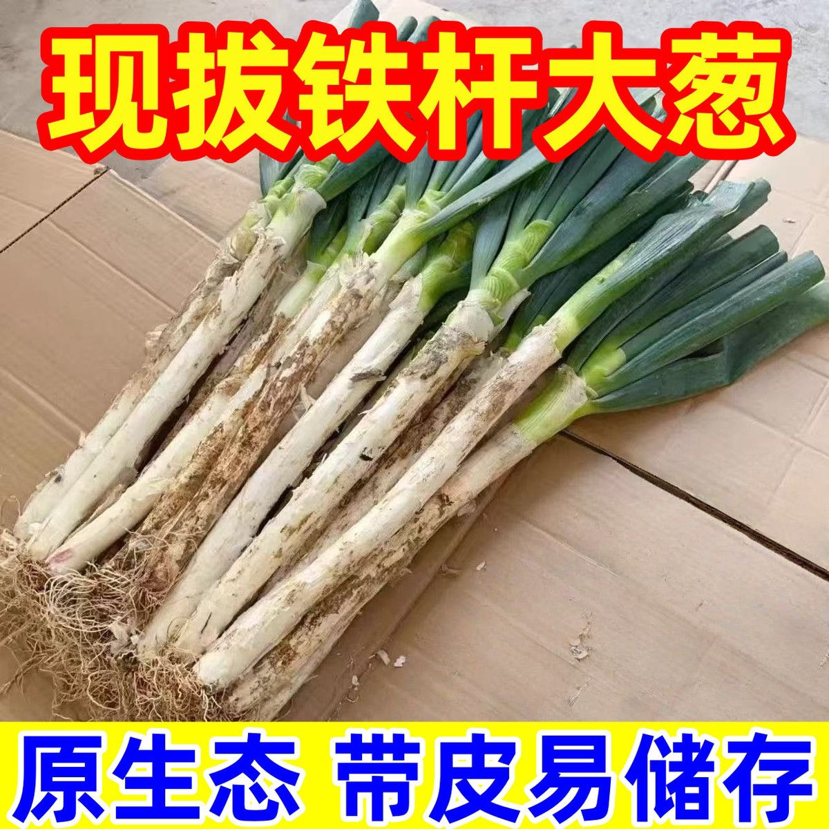 铁杆大葱新鲜现挖脆嫩多汁农家种植带皮易储存便宜批发蔬菜正宗