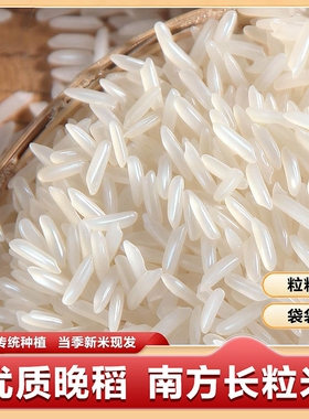 正宗长粒香大米猫牙优质农家稻米试吃籼米新鲜米饭当季晚稻优选