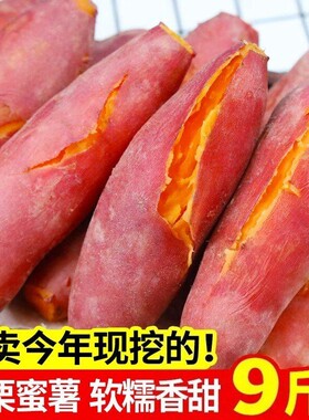 【板栗红薯】黄心板栗味新鲜蔬菜