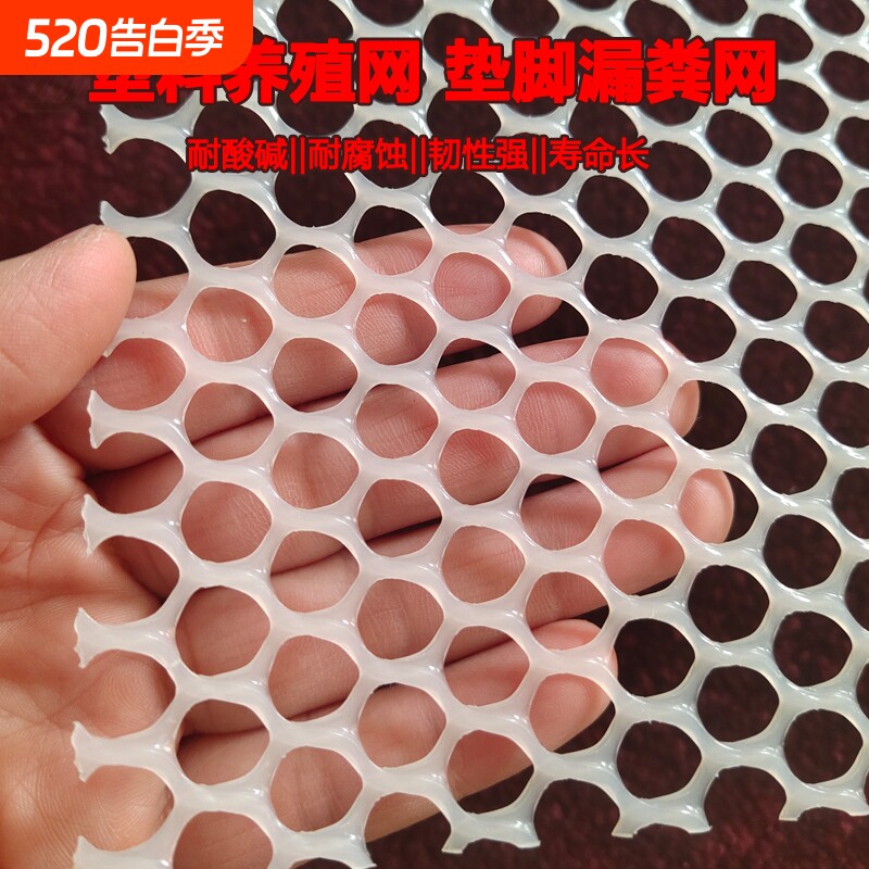 塑料平网养殖网鸡笼垫脚养鸡舍鸭鹅漏粪小鸡育雏网床垫网加厚小孔