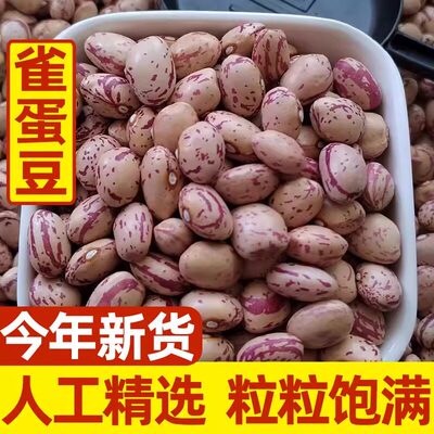 新货农家雀蛋豆子奶花芸豆圆粒红花孔雀豆芙蓉豆五谷杂粮奶花豆