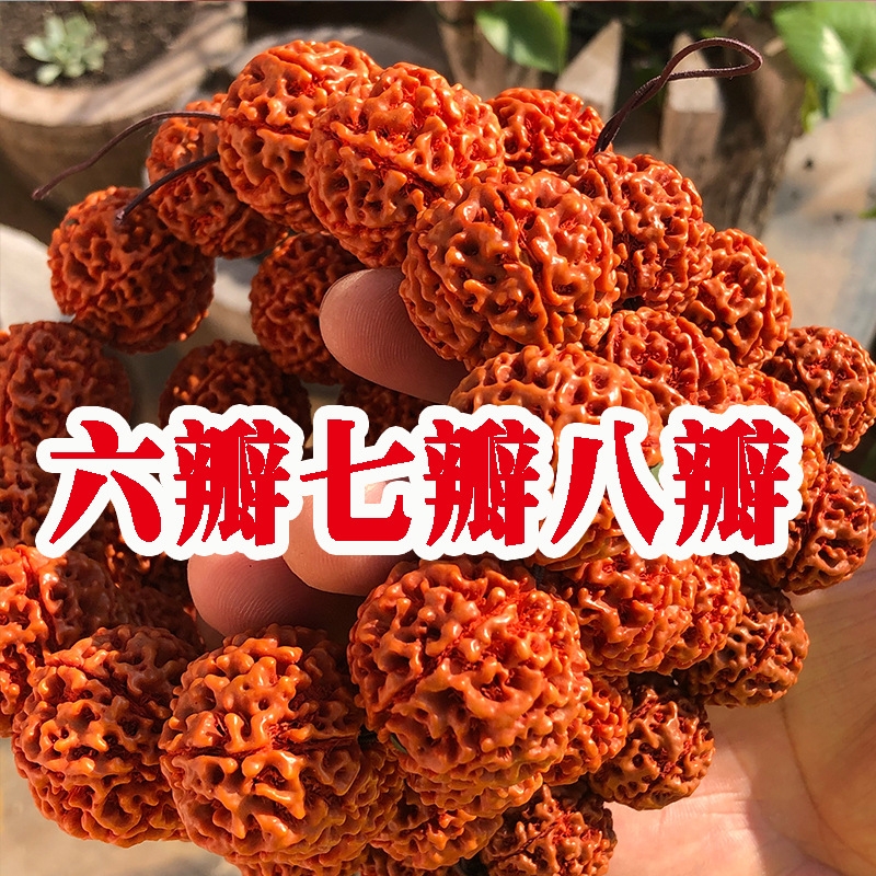 印尼大金刚菩提手串落地红爆肉