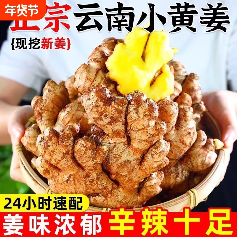 云南小黄姜5斤新鲜老姜生姜现挖高山沙姜土姜种子蔬菜9斤食用,水产肉类/新鲜蔬果/熟食,生姜/南姜,淘宝优惠券,粉丝福利购,淘宝优惠卷